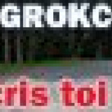 signaturegrok2022