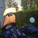38